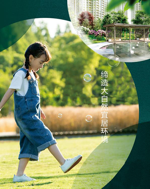 榻榻米生態板的圖片
